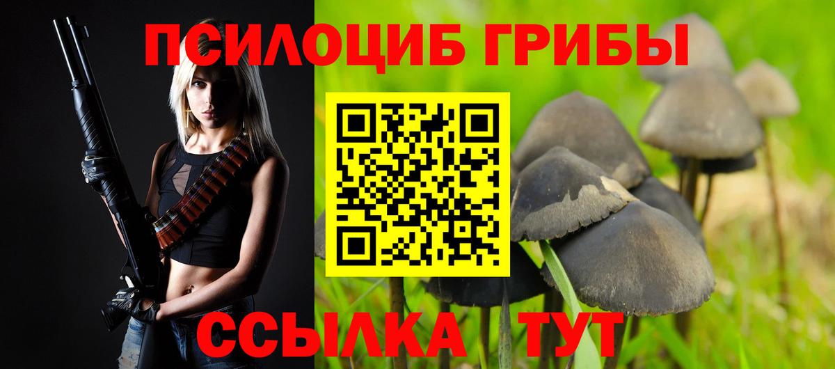 Грозный  Галлюциногенные грибы ЛСД  купить наркотик  Вход с VPN 