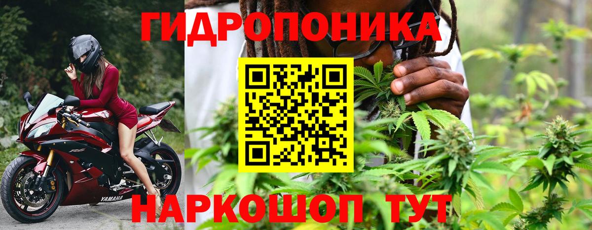 Марихуана VHQ Грозный